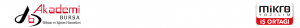 bursa mikro bayii, bursa mikro, mikro bursa deste, bursa mikro destek, bursa muhasebe eğitimi, bursa kariyer